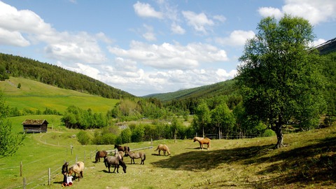 Das Mädchen vom Traumtal, Bild 12